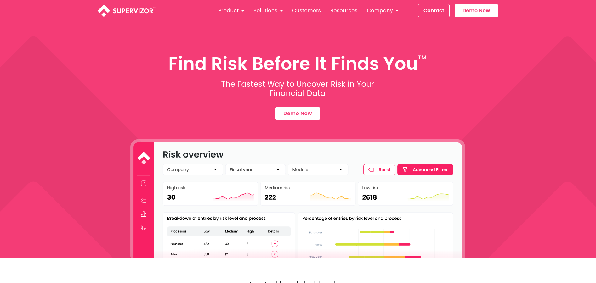 Portfolio project preview