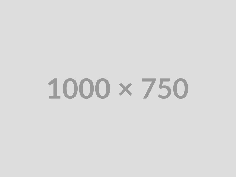 Portfolio project item